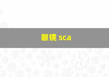 眼镜 sca